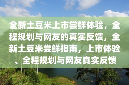 全新土豆米上市嘗鮮體驗，全程規劃與網友的真實反饋，全新土豆米嘗鮮指南，上市體驗、全程規劃與網友真實反饋