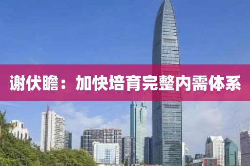 謝伏瞻：加快培育完整內需體系