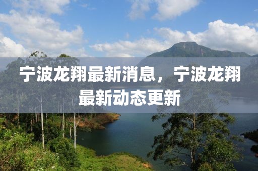 寧波龍翔最新消息，寧波龍翔最新動態更新