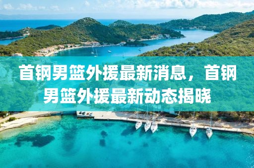 首鋼男籃外援最新消息，首鋼男籃外援最新動態揭曉