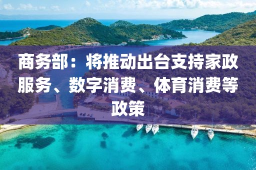 商務部：將推動出臺支持家政服務、數字消費、體育消費等政策