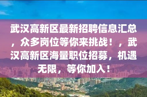 武漢高新區最新招聘信息匯總，眾多崗位等你來挑戰！，武漢高新區海量職位招募，機遇無限，等你加入！