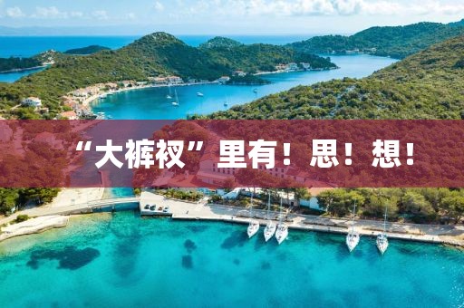 “大褲衩”里有！思！想！