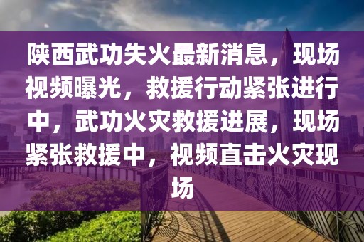 陜西武功失火最新消息，現場視頻曝光，救援行動緊張進行中，武功火災救援進展，現場緊張救援中，視頻直擊火災現場
