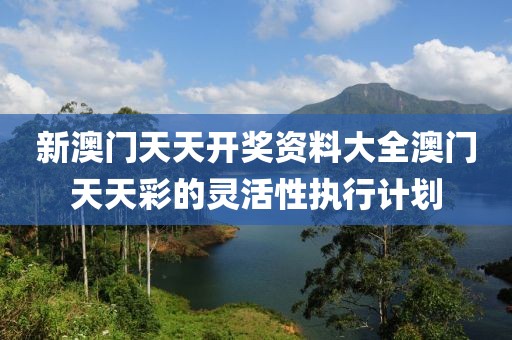 新澳門天天開獎資料大全澳門天天彩的靈活性執行計劃