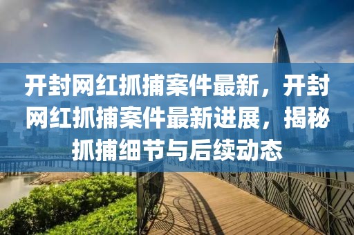開封網紅抓捕案件最新，開封網紅抓捕案件最新進展，揭秘抓捕細節與后續動態