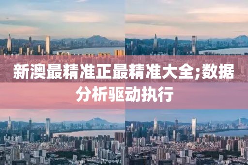 新澳最精準正最精準大全;數據分析驅動執行