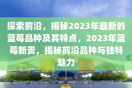 探索前沿，揭秘2023年最新的藍(lán)莓品種及其特點(diǎn)，2023年藍(lán)莓新貴，揭秘前沿品種與獨(dú)特魅力