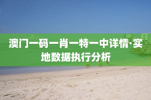 澳門一碼一肖一特一中詳情·實(shí)地?cái)?shù)據(jù)執(zhí)行分析
