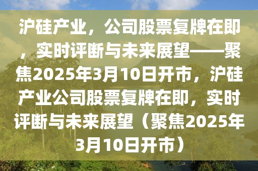 滬硅產(chǎn)業(yè)，公司股票復牌在即，實時評斷與未來展望——聚焦2025年3月10日開市，滬硅產(chǎn)業(yè)公司股票復牌在即，實時評斷與未來展望（聚焦2025年3月10日開市）