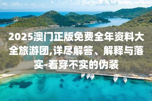 2025澳門正版免費(fèi)全年資料大全旅游團(tuán),詳盡解答、解釋與落實(shí)-看穿不實(shí)的偽裝