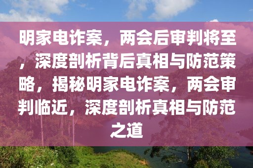 明家電詐案，兩會后審判將至，深度剖析背后真相與防范策略，揭秘明家電詐案，兩會審判臨近，深度剖析真相與防范之道