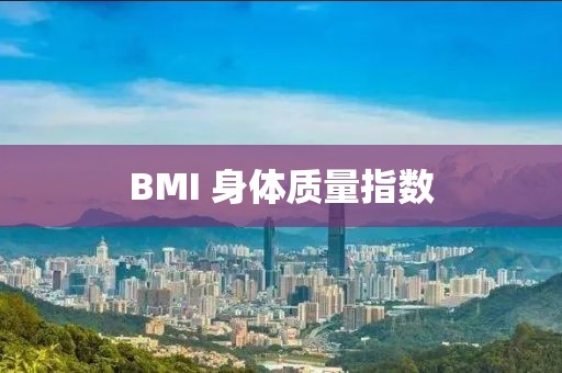 BMI 身體質量指數