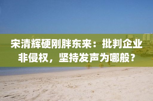 宋清輝硬剛胖東來(lái)：批判企業(yè)非侵權(quán)，堅(jiān)持發(fā)聲為哪般？