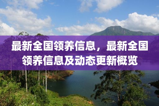 最新全國領養信息，最新全國領養信息及動態更新概覽