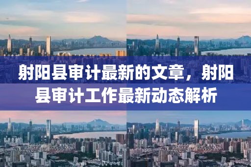 射陽縣審計最新的文章，射陽縣審計工作最新動態解析