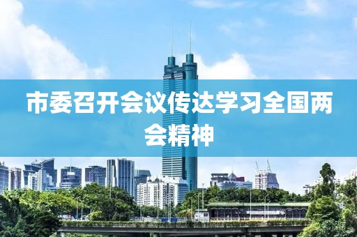 市委召開會議傳達學習全國兩會精神