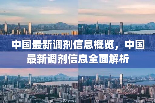 中國最新調劑信息概覽，中國最新調劑信息全面解析