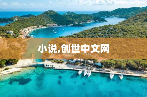 小說,創世中文網