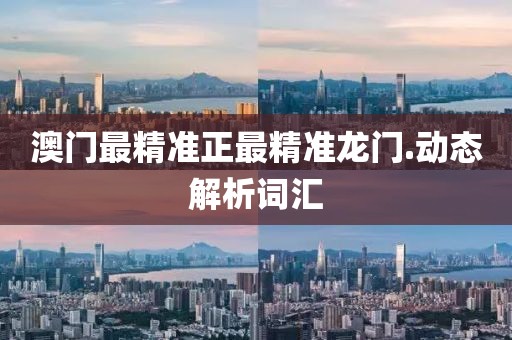 澳門最精準正最精準龍門.動態解析詞匯