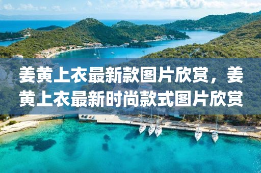 姜黃上衣最新款圖片欣賞，姜黃上衣最新時尚款式圖片欣賞
