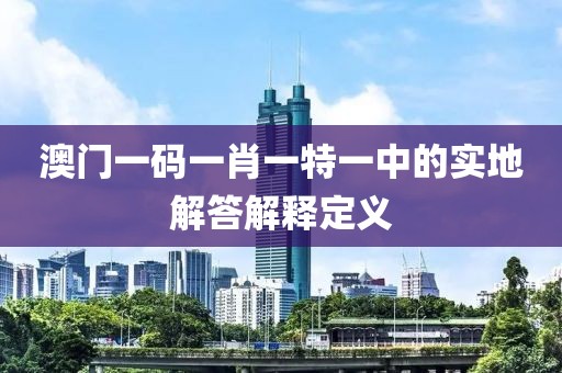 澳門一碼一肖一特一中的實地解答解釋定義