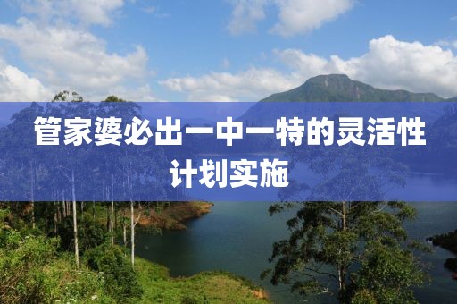 管家婆必出一中一特的靈活性計劃實施
