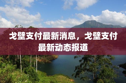 戈壁支付最新消息，戈壁支付最新動態報道