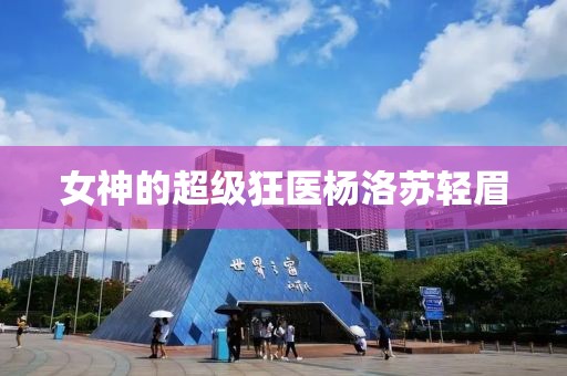 女神的超級狂醫楊洛蘇輕眉