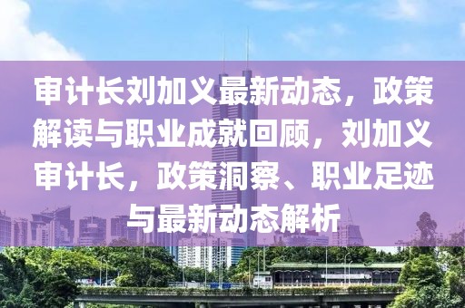 審計長劉加義最新動態，政策解讀與職業成就回顧，劉加義審計長，政策洞察、職業足跡與最新動態解析