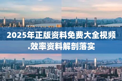 2025年正版資料免費大全視頻.效率資料解剖落實
