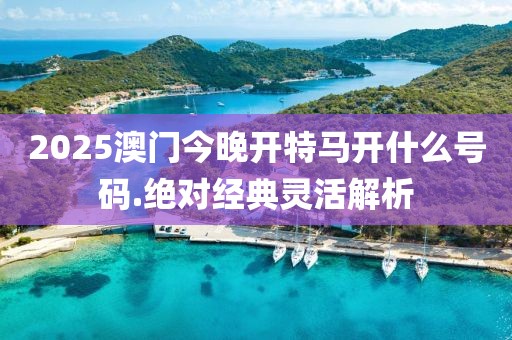 2025澳門今晚開特馬開什么號碼.絕對經(jīng)典靈活解析