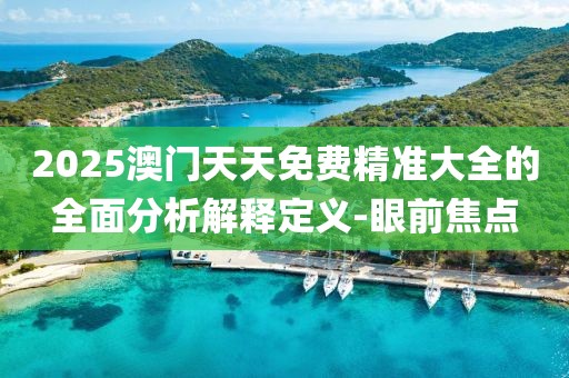 2025澳門天天免費精準大全的全面分析解釋定義-眼前焦點