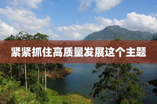 緊緊抓住高質量發展這個主題