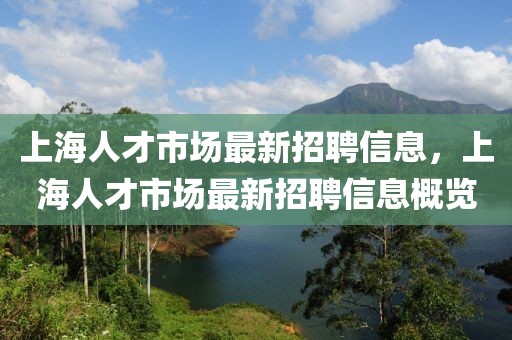 上海人才市場最新招聘信息，上海人才市場最新招聘信息概覽